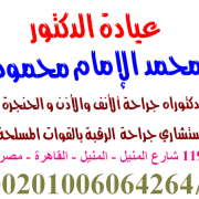 محمد الامام محمود