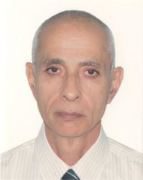 محمد على البحراوى