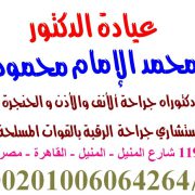 محمد الامام محمود