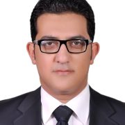 عمرو حسن الحسني