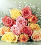 اسماء محمد على