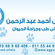 د/ على عبدالرحمن
