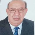 طارق لطفي