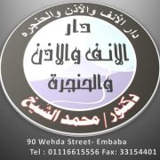 محمد الشيخ 