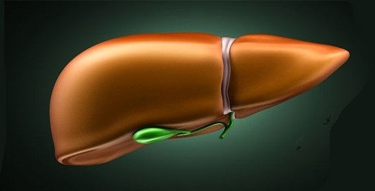  معلومات تهمك عن التهاب الكبد 