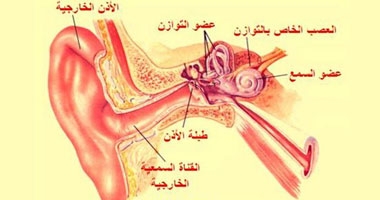 استشارى: البلغم المتجدد إشارة للإصابة بالتهاب الجيوب الأنفية  