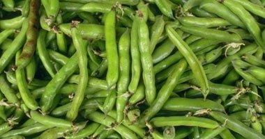 استشارى تغذية: الفول "الحِراتى" يقوى مناعة الجسم ويحافظ على الكليتين  