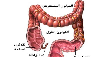 دراسة أمريكية: فيتامين D قد يطيل عمر مرضى سرطان القولون  