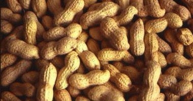 دراسة: "مكسرات السودانى" تحميك من أمراض القلب والسكتة الدماغية