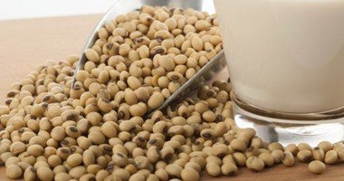 دراسة أمريكية: زيت فول الصويا المعدل وراثيا غير صحى 