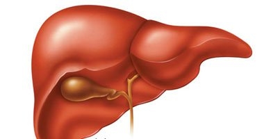 FDA تطرح دواءً جديداً لعلاج اضطراب نادر متعلق بالأحماض الصفراوية 