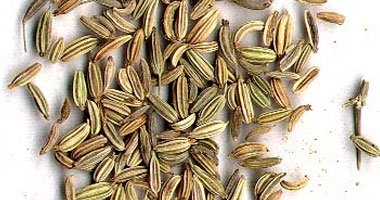 3 أكواب من "الشمر" يوميًا تخفف آلام وتقلصات الدورة الشهرية 