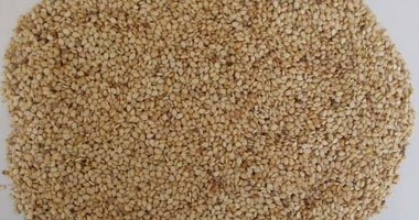 7 فوائد ذهبية للسمسم أهمها الوقاية من التهابات العظام واللثة واللسان