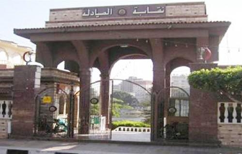 "الصيادلة" تدعو أعضاءها إلى حضور "عمومية المهن الطبية "غدًا