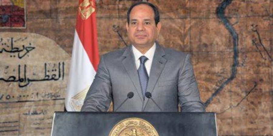 السيسى يوجه المجلس التخصصى لتنمية المجتمع بالقضاء على فيروس سى فى مصر 